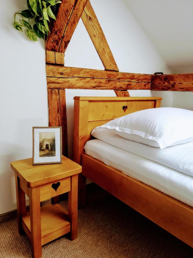 Hotel Casa David Ferenc Haz Deva Zewnętrze zdjęcie