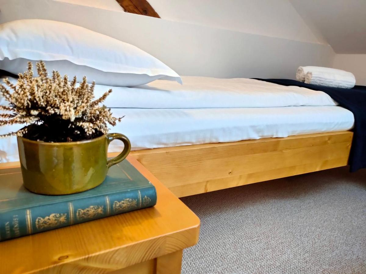 Hotel Casa David Ferenc Haz Deva Zewnętrze zdjęcie