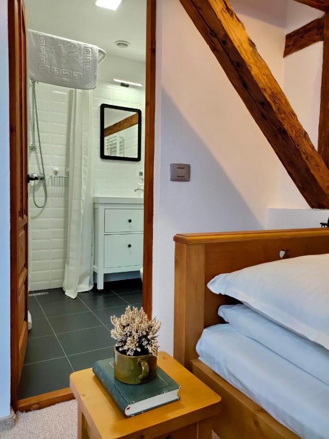 Hotel Casa David Ferenc Haz Deva Zewnętrze zdjęcie