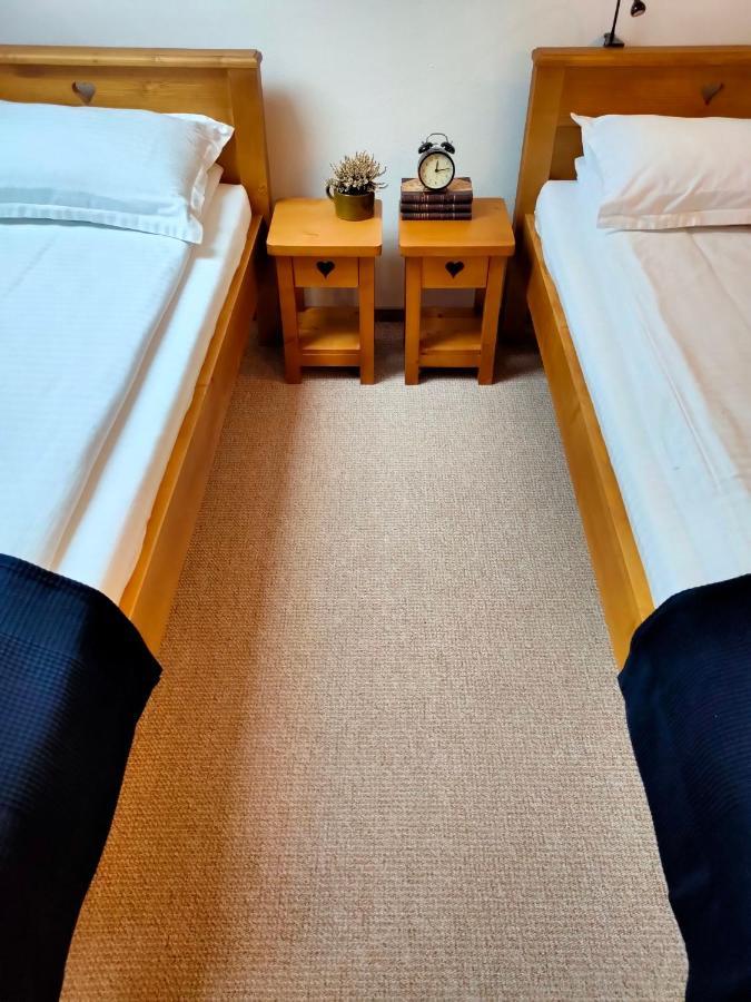 Hotel Casa David Ferenc Haz Deva Zewnętrze zdjęcie