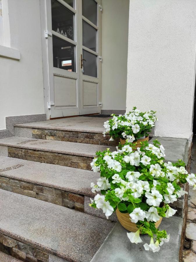 Hotel Casa David Ferenc Haz Deva Zewnętrze zdjęcie