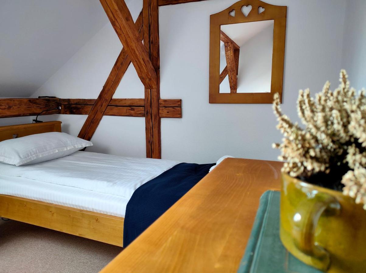 Hotel Casa David Ferenc Haz Deva Zewnętrze zdjęcie